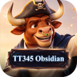 Symbol des Programms: TT345Obsidian