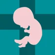 程序图标：Adopt a Life