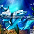 Icon of program: Dolphin Animal Wallpapers…