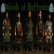 Icon of program: Woods of Battania - Troop…