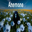 プログラムのアイコン:アネモネ / Anemone
