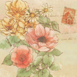 Icon of program: 花のイラスト壁紙　Anemone　無料きせかえ