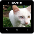 程序图标：Media Viewer for Informer…