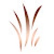 Symbol des Programms: 旺店參謀