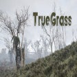 Icon of program: True Grass