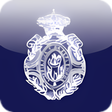 Icon of program: Diccionario de la RAE