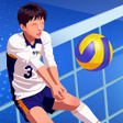Icon of program: Volleyball Duel