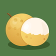 Icon of program: Longan VPN
