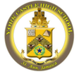 Ikon program: York Castle High School