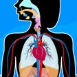 Иконка программы: Anatomix - Human Body Sys…