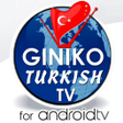 Programın simgesi: GinikoTurkish TV for Andr…