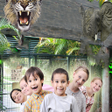 程序图标：Real Zoo Trip Game