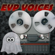 Icon of program: EVP VOICES 2020