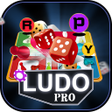 プログラムのアイコン：Ludo Pro