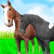 Ikon program: Horse Family Simulator 3D