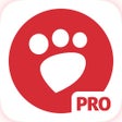 Ikon program: Desqueeze PRO - Batch Res…