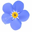 ForgetMeNot icon