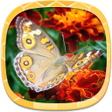 プログラムのアイコン：Free Wallpapers for Mobil…