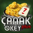 程序图标：Çanak Okey Plus