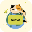 Ícone do programa: Nutcat VPN