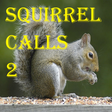 プログラムのアイコン：Squirrel Calls 2