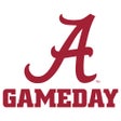 程序图标：UA - Gameday