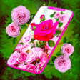 プログラムのアイコン：Pink Rose 4K Live Wallpap…