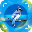 Icono de programa: Bird Identifier - Picture…