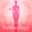 プログラムのアイコン：Reflexology chart
