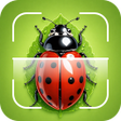 프로그램 아이콘: Bug Identifier: Bug Finde…