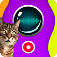 Ícone do programa: Cat Speaker