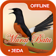 程序图标：Masteran Murai Batu Medan