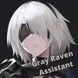 Gray Raven Assistant