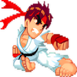 Ikon program: SD Fighter 2