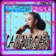 程序图标:Mangku Purel Campursari O…