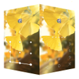 程序图标：AppLock Live Theme Ginkgo
