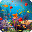 Ikon program: Fish Live Wallpaper Machh…