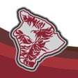 Icoon van programma: Big Island FCU