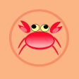 Crab VPN  Private and Secure