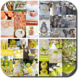 程序图标：Wedding Themes
