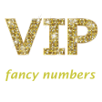 vip fancy numbers