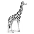 Giraf - Share cultural life