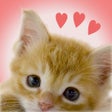 ไอคอนของโปรแกรม: My Kittens