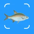 أيقونة البرنامج: Fish AI: Fish Identifier