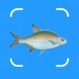 Icon of program: Fish AI: Fish Identifier