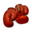 Icono de programa: Boxer
