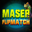 ไอคอนของโปรแกรม: Master Flip Match