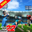 Real Asia Cup: Cricket 3D Game