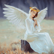 プログラムのアイコン：Angel Wings Photo Editor …
