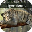 Иконка программы: Tiger Sounds - Tiger Soun…